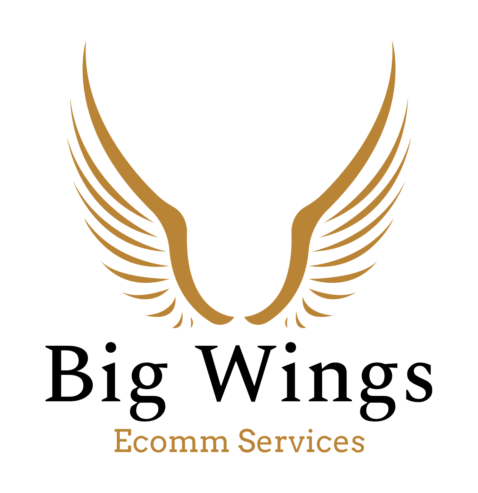 BIG WINGS ECOMM SERVICES